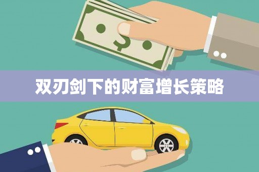 江山双刃剑下的财富增长策略