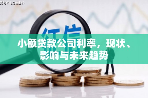 江山小额贷款公司利率，现状、影响与未来趋势