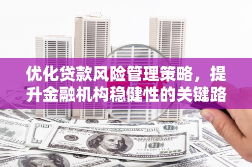 江山优化贷款风险管理策略，提升金融机构稳健性的关键路径