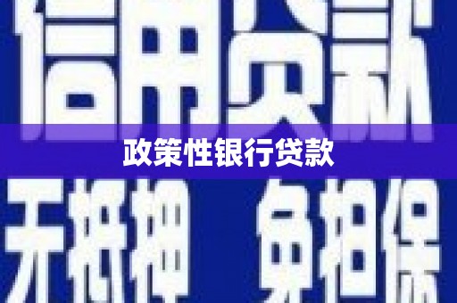 江山政策性银行贷款