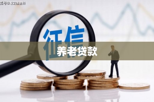 江山养老贷款