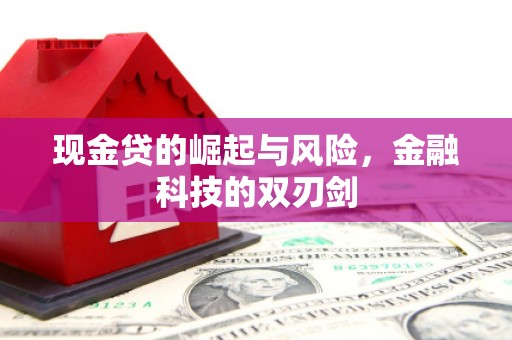 江山现金贷的崛起与风险，金融科技的双刃剑