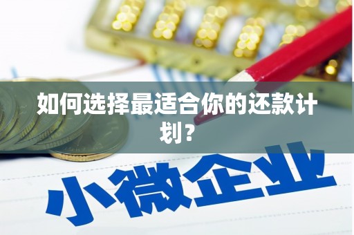 江山如何选择最适合你的还款计划？