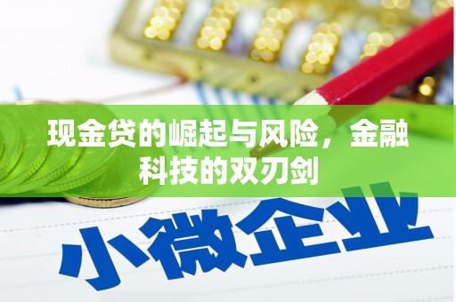 江山现金贷的崛起与风险，金融科技的双刃剑