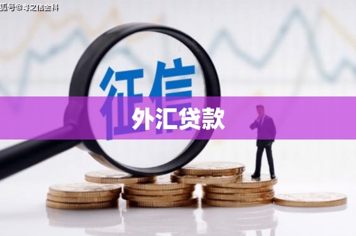 江山外汇贷款