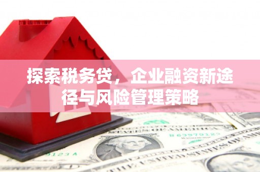 江山探索税务贷，企业融资新途径与风险管理策略