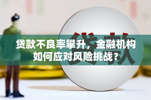 江山贷款不良率攀升，金融机构如何应对风险挑战？