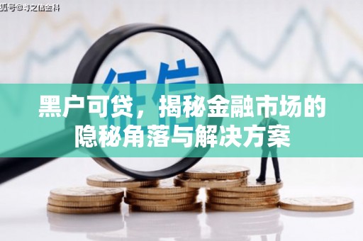 江山黑户可贷，揭秘金融市场的隐秘角落与解决方案