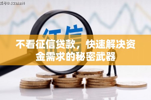 江山不看征信贷款，快速解决资金需求的秘密武器