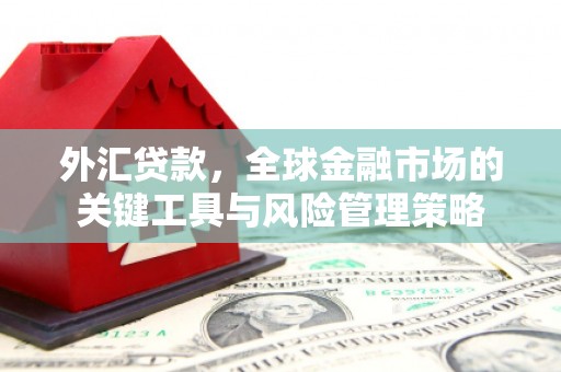 江山外汇贷款，全球金融市场的关键工具与风险管理策略