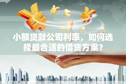 江山小额贷款公司利率，如何选择最合适的借贷方案？