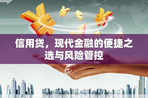 江山信用贷，现代金融的便捷之选与风险管控