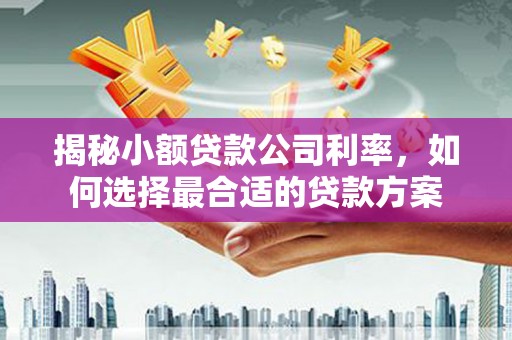 江山揭秘小额贷款公司利率，如何选择最合适的贷款方案