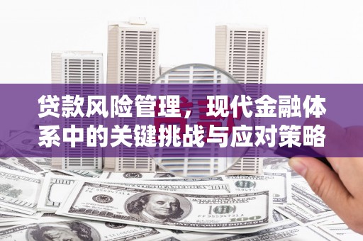江山贷款风险管理，现代金融体系中的关键挑战与应对策略