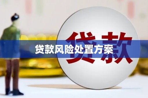 江山贷款风险处置方案